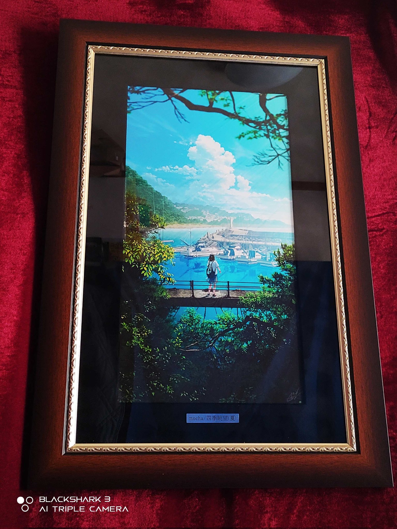 mocha 「四季眺望 夏」