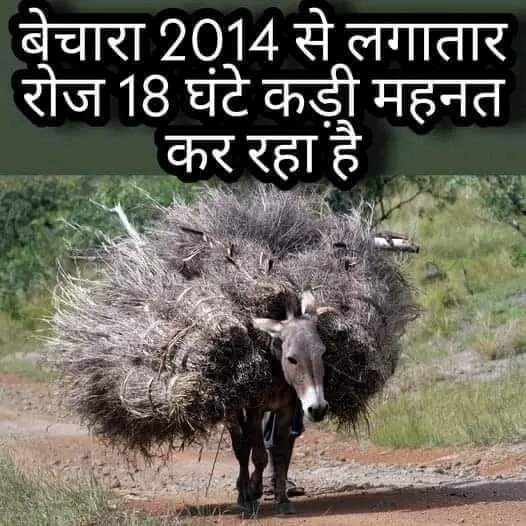 इस पोस्ट से बिष गुरु का कोई लेना‌ देना नहीं है !
बिना‌ कारण अपने दिमाग का " दही " ना करें !
😊😊😊