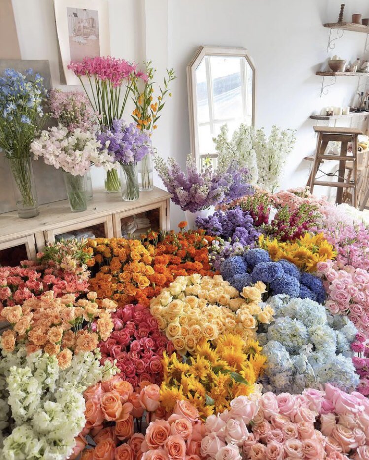 Flowers (@FlowersDaily_) on Twitter photo 2024-01-14 10:30:00