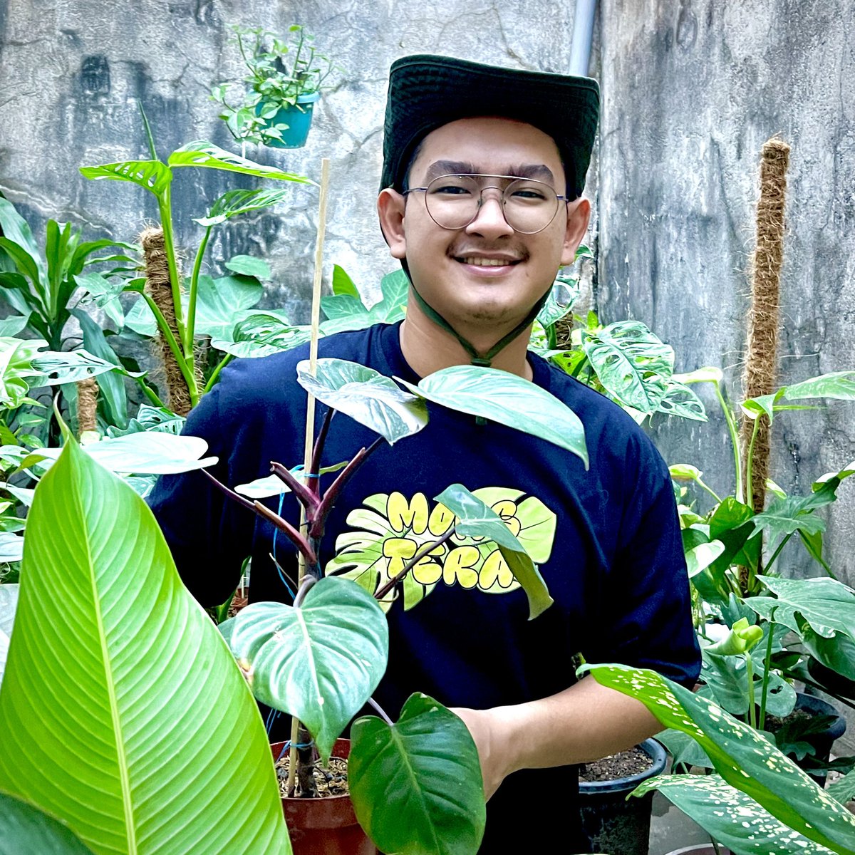 KrstphrM's tweet photo. Monstera https://t.co/ho0j6fqZQz