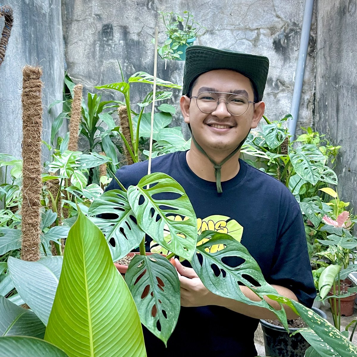 KrstphrM's tweet photo. Monstera https://t.co/ho0j6fqZQz