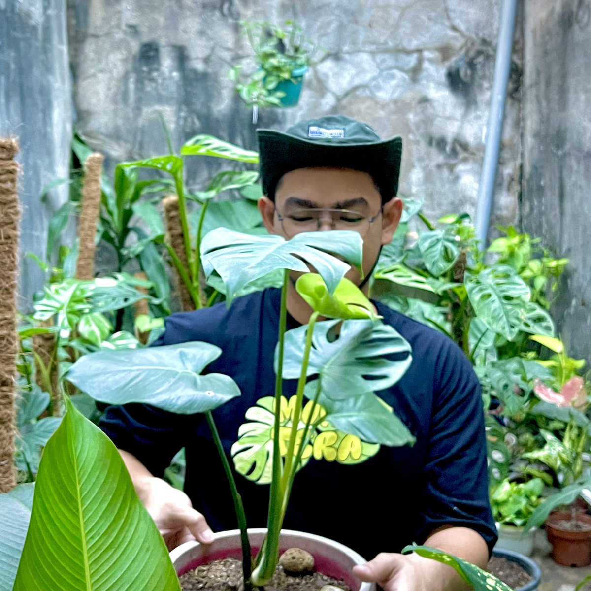 KrstphrM's tweet photo. Monstera https://t.co/ho0j6fqZQz