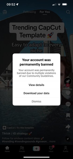 good morning x https://t.co/9RK1U4pd8N