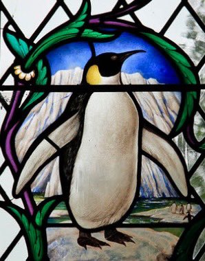 ArtGuideAlex's tweet photo. Pick up a penguin…  #ChristopherWebb 1958
#StMaryAldingbourne #StainedGlassSunday @BSMGP https://t.co/cJ5gP9stg6