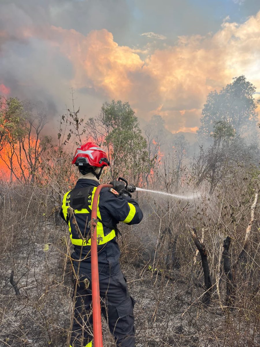 SecCivileFrance's tweet photo. #Solidarité 🇳🇨🔥30 sapeurs-sauveteurs de l'@Uiisc7 sont engagés en renfort depuis le 6 janvier pour faire face aux #FeuxDeForêt en Nouvelle-Calédonie.

🧑‍🚒Ils ont été mobilisés sur plusieurs feux à Pic aux Morts, Boulouparis, Koumac aux côtés des sapeurs-pompiers néo-calédoniens. https://t.co/JnOTLuMFT7