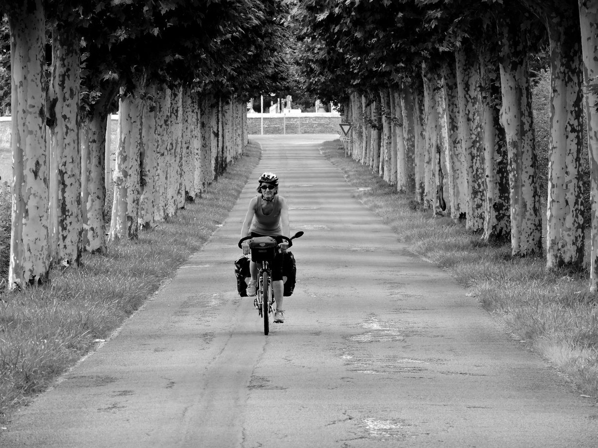 #Cycling in #Bourgogne, #France 
---------------------
#blackandwhitephotography 
#landscapephotography 
#blackandwhitephotos 
#blackandwhitephoto 
#bnwphotography 
#cyclingpassion 
#cyclingphotos 
#landscape 
#cyclinglife