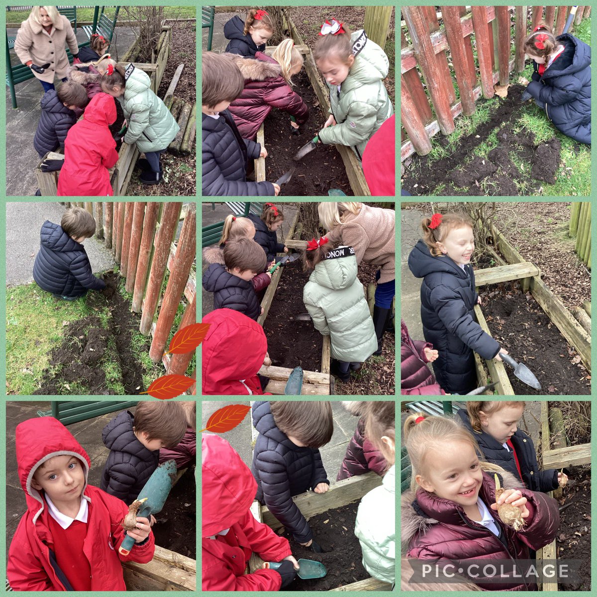 Year 2 enjoyed a spot of gardening this week, planting bulbs with the help of Gail. Thank you for helping us to make this happen. We can’t wait to watch them grow. 🌼 🌼 #ExperientialLearning #GardeningFun #Spring