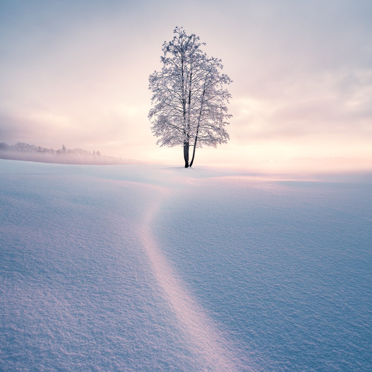 MikkoLagerstedt tweet picture