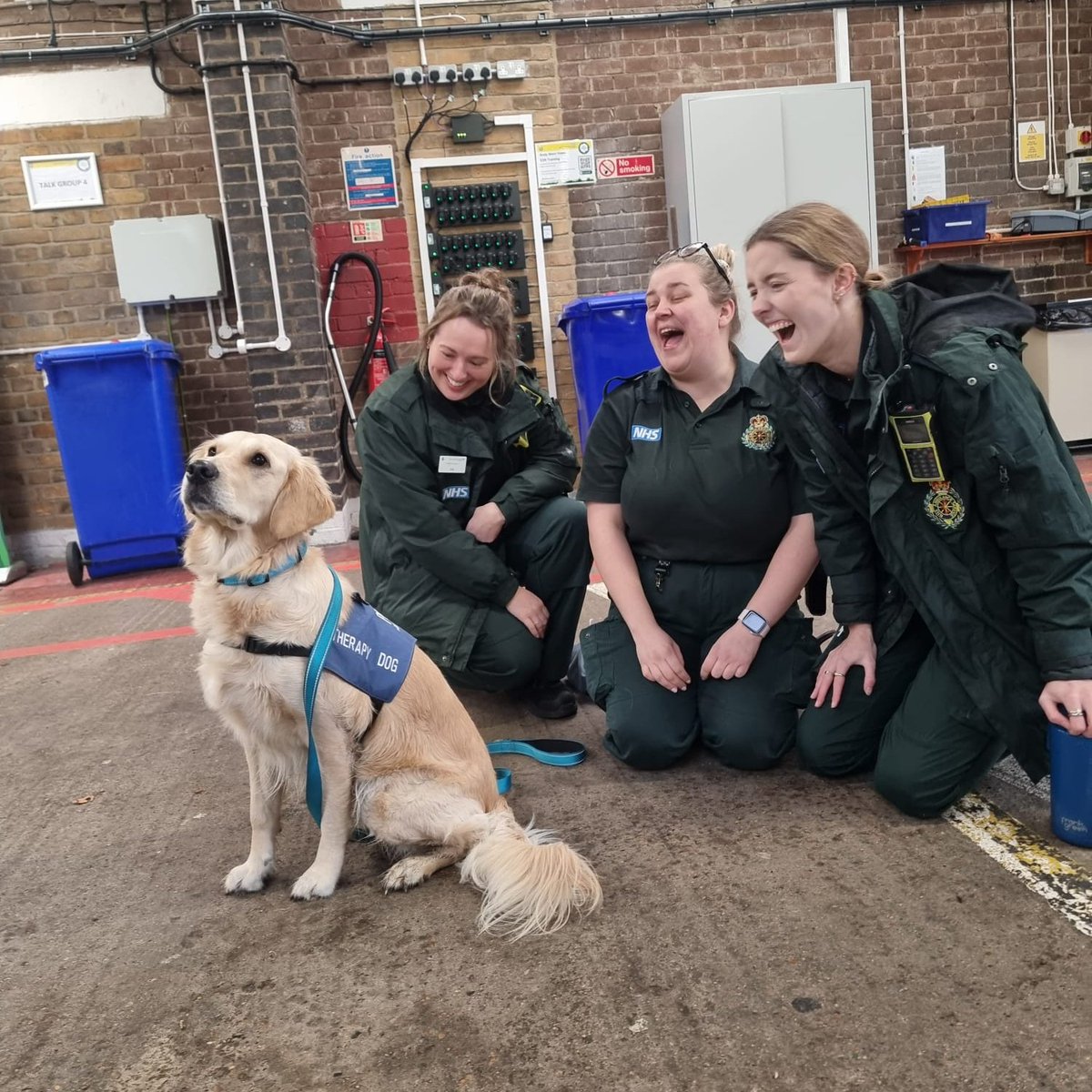 Never underestimate a dog's ability to put smiles on faces! 😍🐶

Our <a href="/LAS_CycleTeam/">LAS Cycle Team</a> are leading an initiative delivering #PetTherapy at ambulance stations and hospitals in London.

Maddie the Labrador and Honey the Golden Retriever are owned by #TeamLAS medics John and Gerard 💚