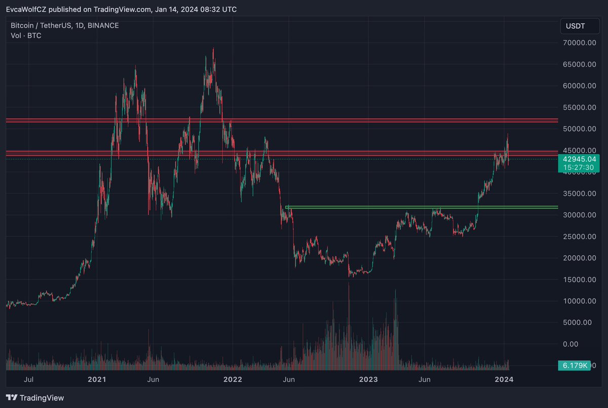 Evca Wolf tweet media