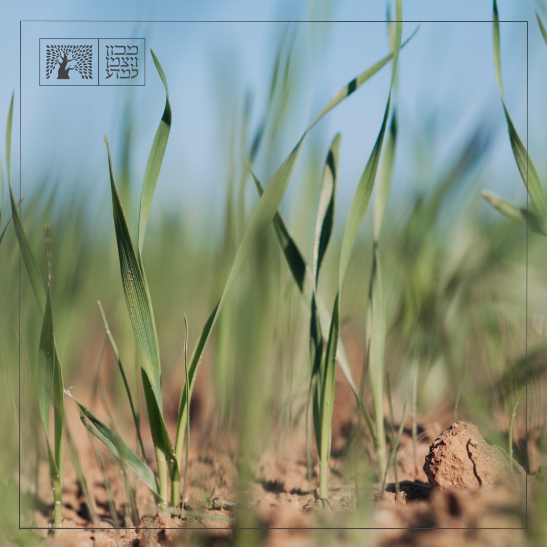 Weizmann Institute tweet media