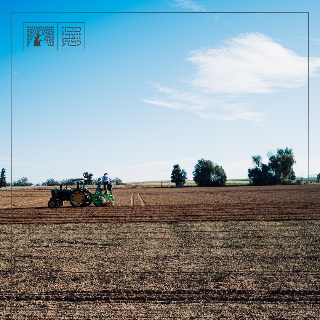 Weizmann Institute tweet media