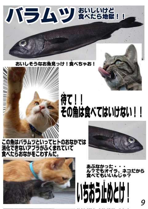 バラムツ
おいしいけど食べたら地獄!! 