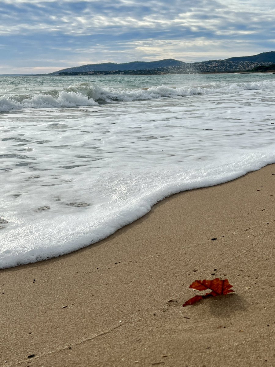 Bonjour de #Fréjus ! Une balade sur la plage déserte pour s’aérer et se ressourcer 🩵 Bon dimanche ! @frejustourisme @VilleDeFrejus @VisitCotedazur #bonjour #helloXworld #goodmorning #CotedAzurFrance #beachvibes #baladesympa #sunday #bondimanche #haveaniceday