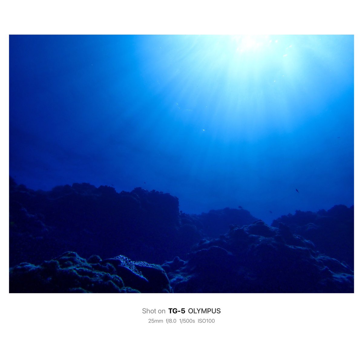 海の底から見る光✨

#写真好きな人と繋がりがたい #ファインダーの越しの私の世界 #キリトリセカイ #青の世界 #写真で伝える私の世界 #写真で奏でる私の世界