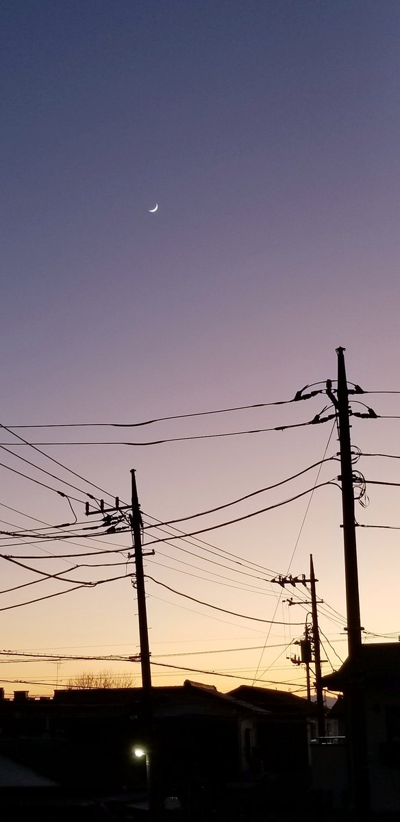 おから tweet media