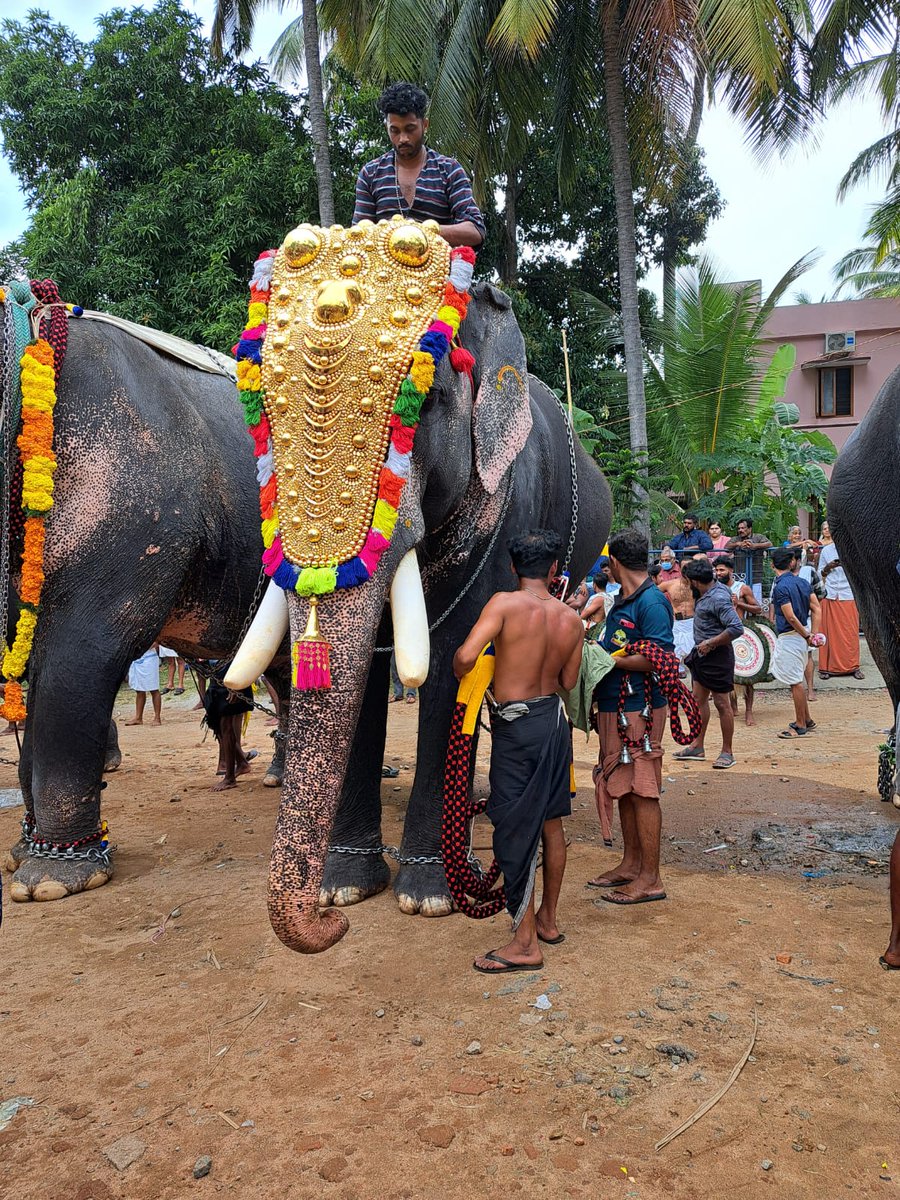 JOIEDEVIVRE87's tweet photo. Retour de la terre indienne cette semaine.
Cours et rendez vous vont reprendre.
Inscriptions en ligne sur
https://t.co/gjQmIhpuER https://t.co/OoOmyV1LQ5