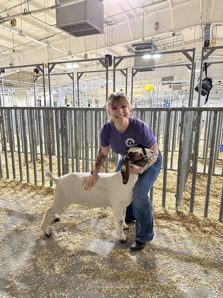 CTE_Teach_Jess's tweet photo. Learning how to show Miklo for the FFA celebrity show was so much fun!! And a lot of work!! https://t.co/RQsSfrgkjX