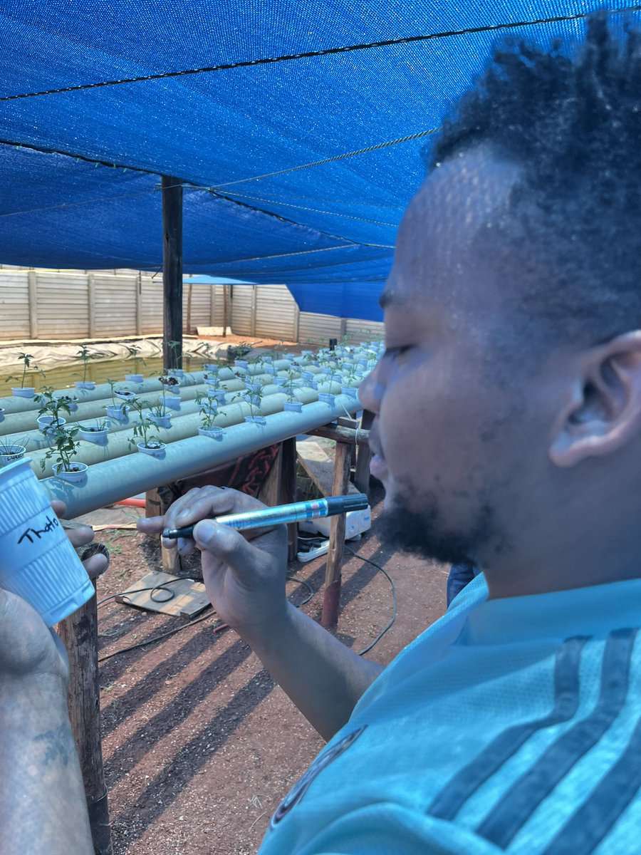BaneleRewo's tweet photo. FARM VISIT : DAY 366 of @z2bfoodbev WHOLESALE & AQUAPONICS #ZeroToMillion in Meat Wholesaling & Aquaponics with Catfish Farming. https://t.co/FBQ5N6Gdue