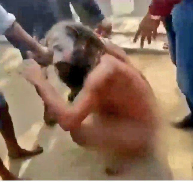 DkdGuru's tweet photo. हिंदूओ पर हमले हुए बंगाल में 🚨🚨🚨
कल हिंदू साधु-संत निवस्त्र करके पीटे गये बंगाल में 

श्री राम मंदिर पर विरोध करने वाले हिंदू धर्मपीठ के सबसे बड़े गुरु शंकराचार्य जी का कोई ब्यान नहीं आया ? 
Mamta banu aa vinash tay hai.. 🙏🏻 https://t.co/J3396NpE5z
