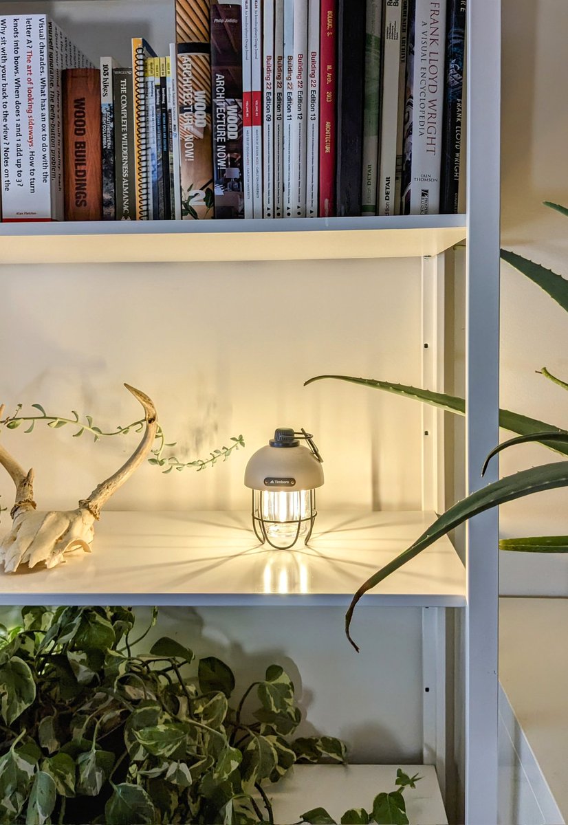 bolducdesign's tweet photo. Late night office vibes! 🌿✨

#Vancouver #VanCity #Office #InteriorDesign #Lighting #MightnightVibes #Design #BiophilicDesign https://t.co/VQDajPoNZW