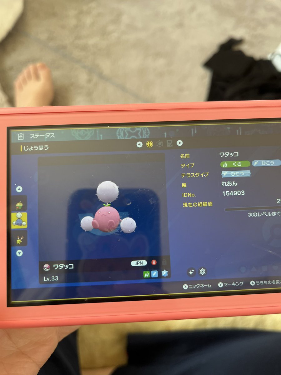 Splatoos's tweet photo. お久しぶりです、
ワタッコちゃん余ってるんですが誰か可愛がってもらえないでしょうか🥺

#ポケモンSV https://t.co/L98tboo6wu