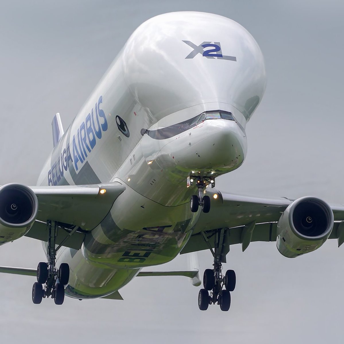 Airliners Live tweet media