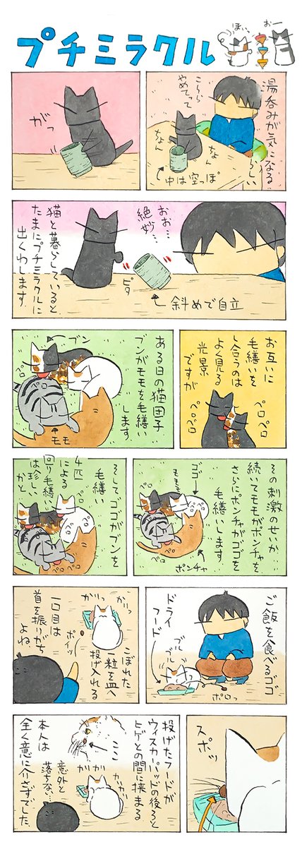 プチっと│フェリシモ猫部 