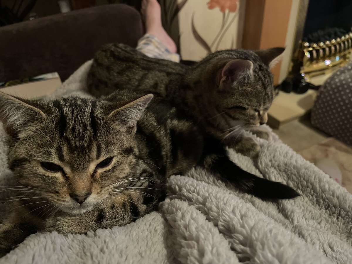 Michelle Benton tweet media