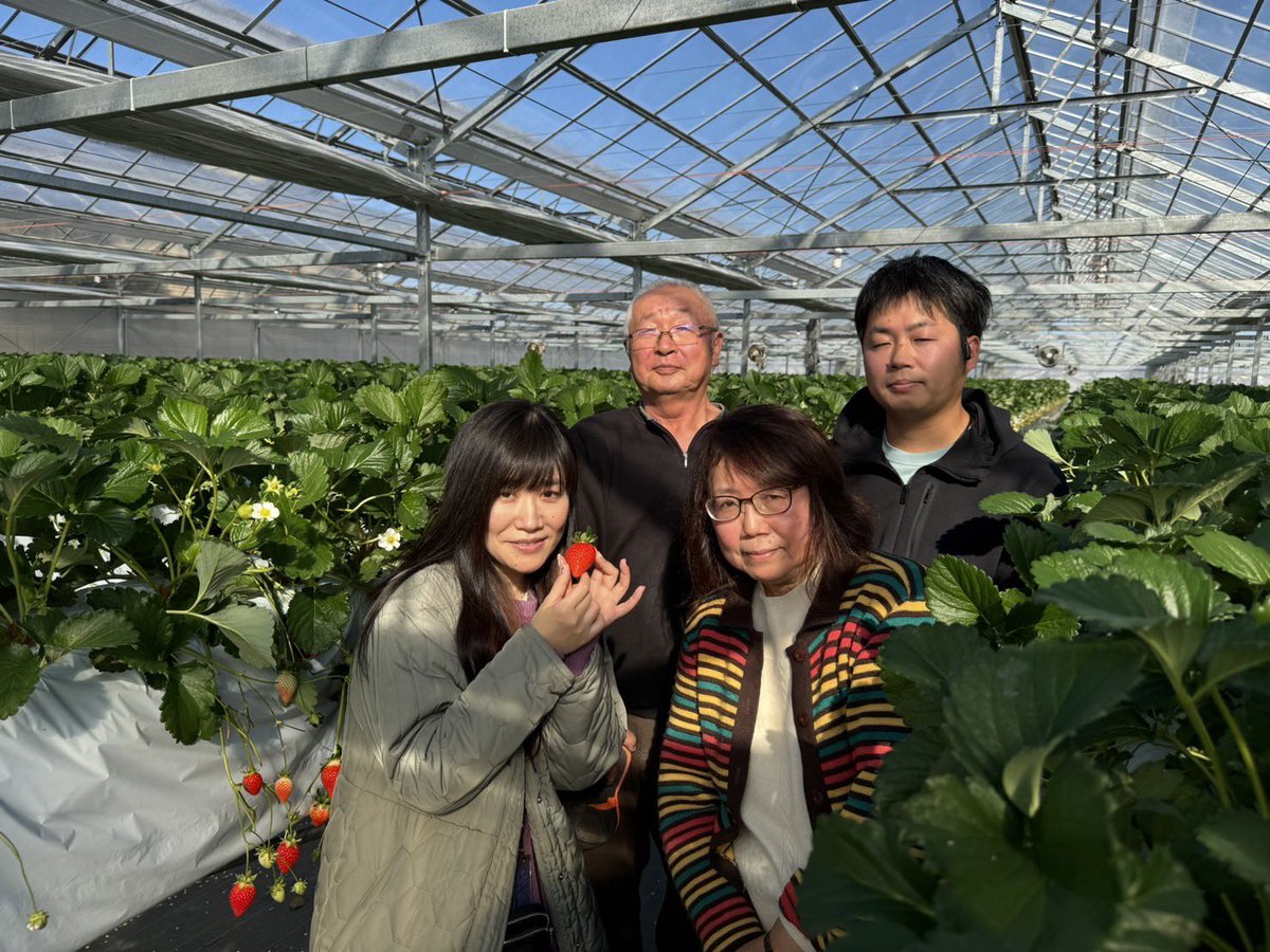 1月14日おでかけリサーチ】 埼玉県オリジナル品種のイチゴ🍓 #べにたま