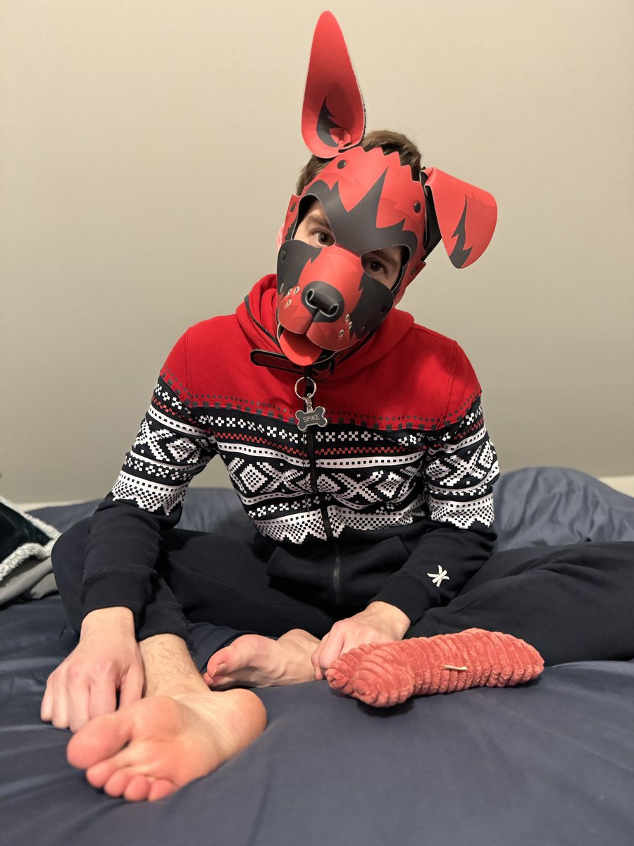 pupper_spike's tweet photo. Hope you are all staying warm! Good night for a cozy onesie. https://t.co/S6JIHVvhwW