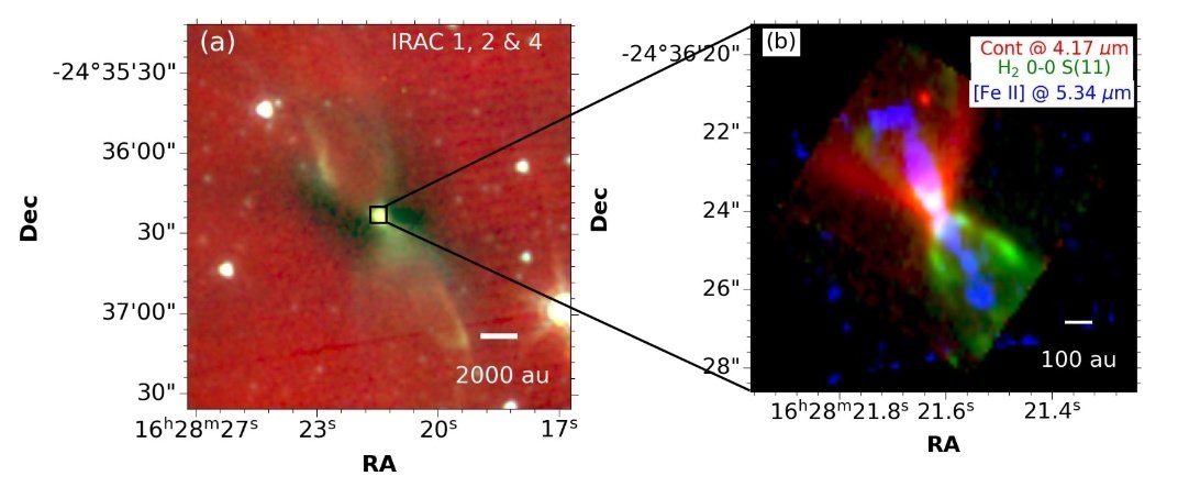 MinkyAstro's tweet photo. Our JWST jet paper on the famous Wasp Waist Nebula IRAS 16253-2429 has been accepted at ApJ Letters. The low mass (0.14 MSun), low luminosity (0.2 LSun) Class 0 protostar was observed as part of the Investigating Protostellar Accretion IPA team. https://t.co/KlrUCoqDMU