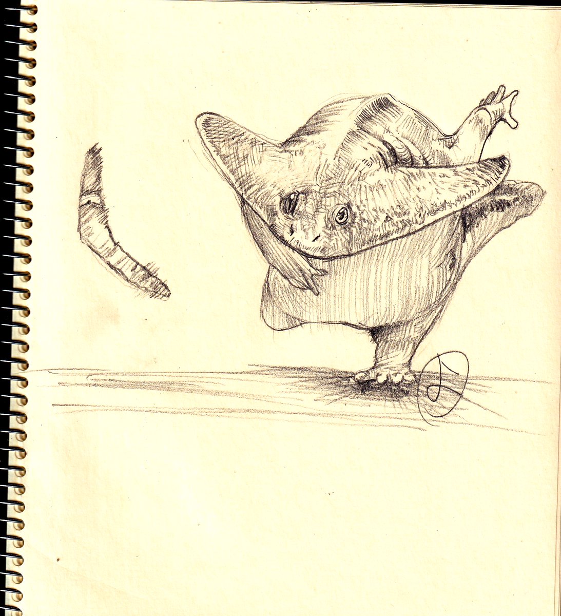 masashinger2000's tweet photo. ブーメランを投げるディプロカウルス(Diplocaulus)を描きました。
#Diplocaulus #古代生物 #ancientcreatures https://t.co/pdzdyjeBcr
