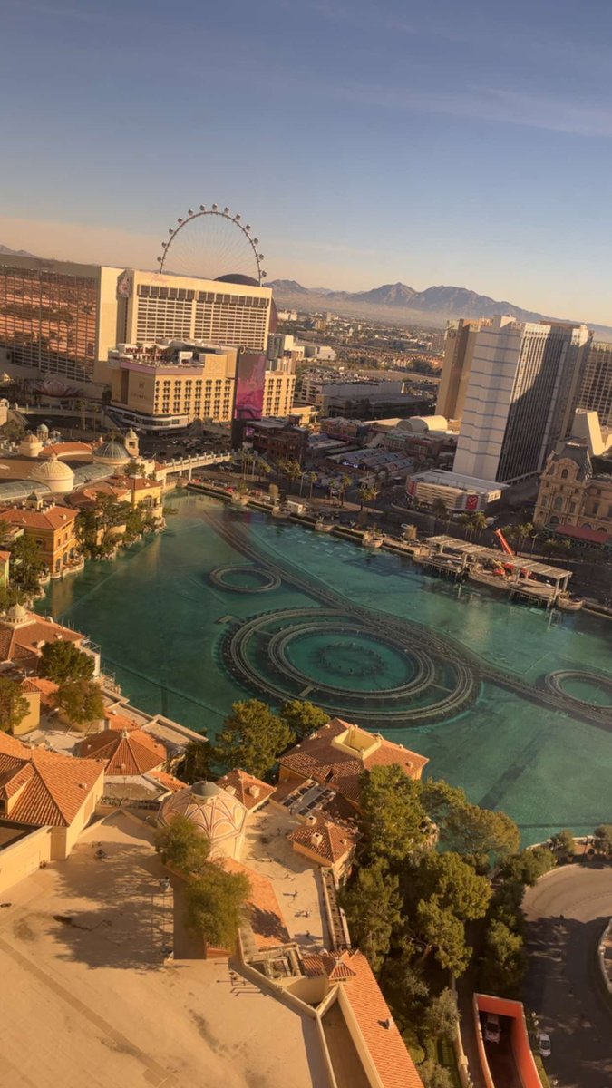 Rodrigo Peña-Preciado tweet media