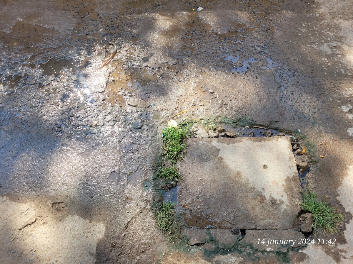 Vikas0898's tweet photo. @CommissionerVmc Amrdeep Complex, Gotri. Facing overflow of drainage problem since last 2 Year. Every time we loudge complaint and vmc do temprory solution. After 10 to 15 days same issue repeated.. please do some permanent solution for this... https://t.co/DrhSxqXHGh