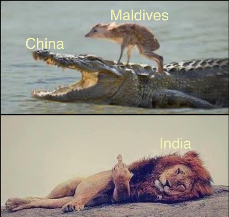 #MaldivesOut #maldivesboycott