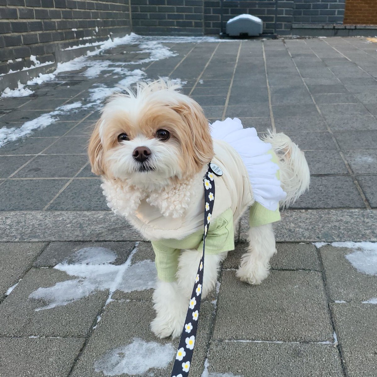 exopetsglobal's tweet photo. 240114 🍒 🫧 

Daddy's little princess is here~! https://t.co/pEvQEaN4f5