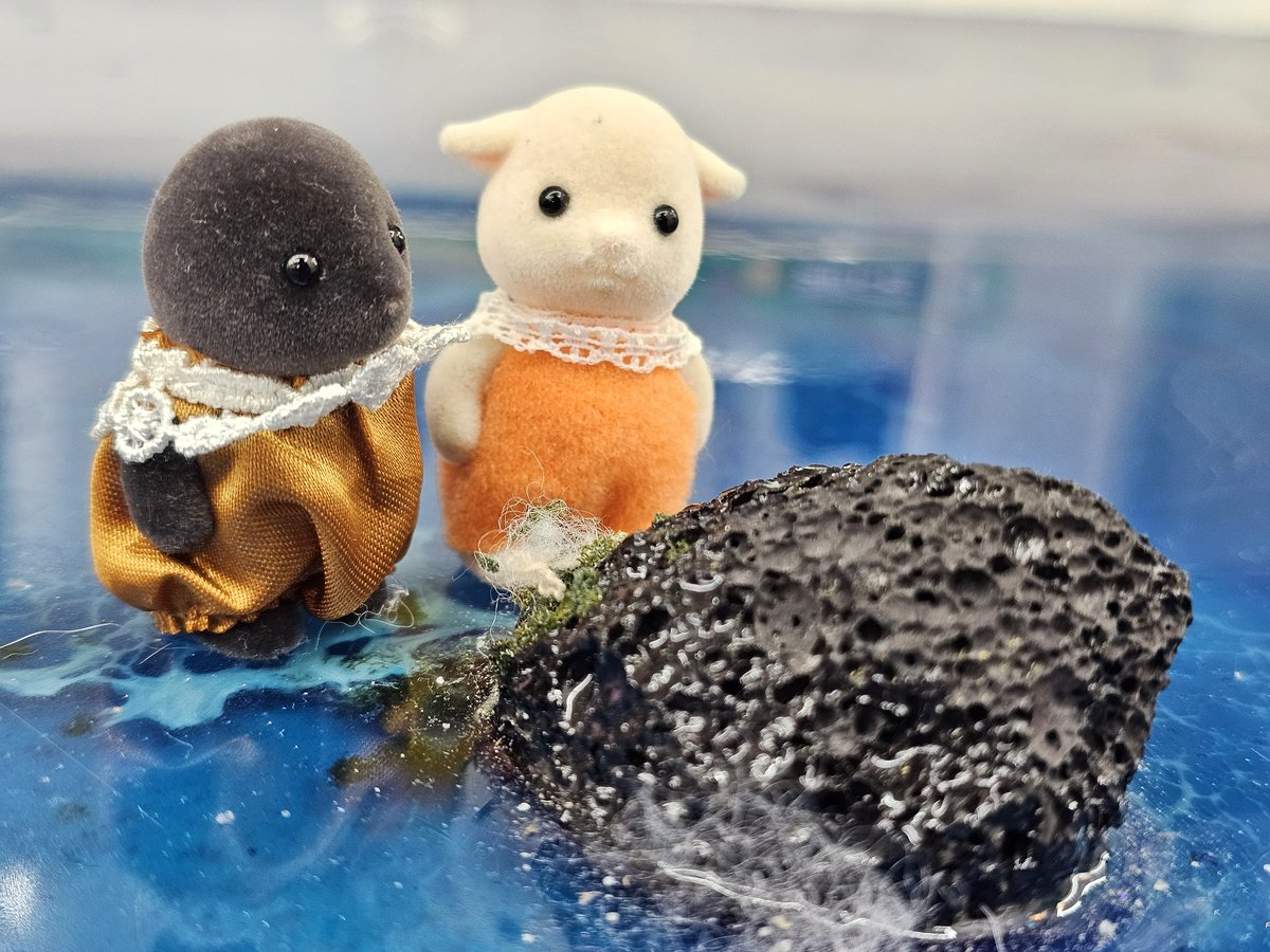 치즈케이크 tweet media