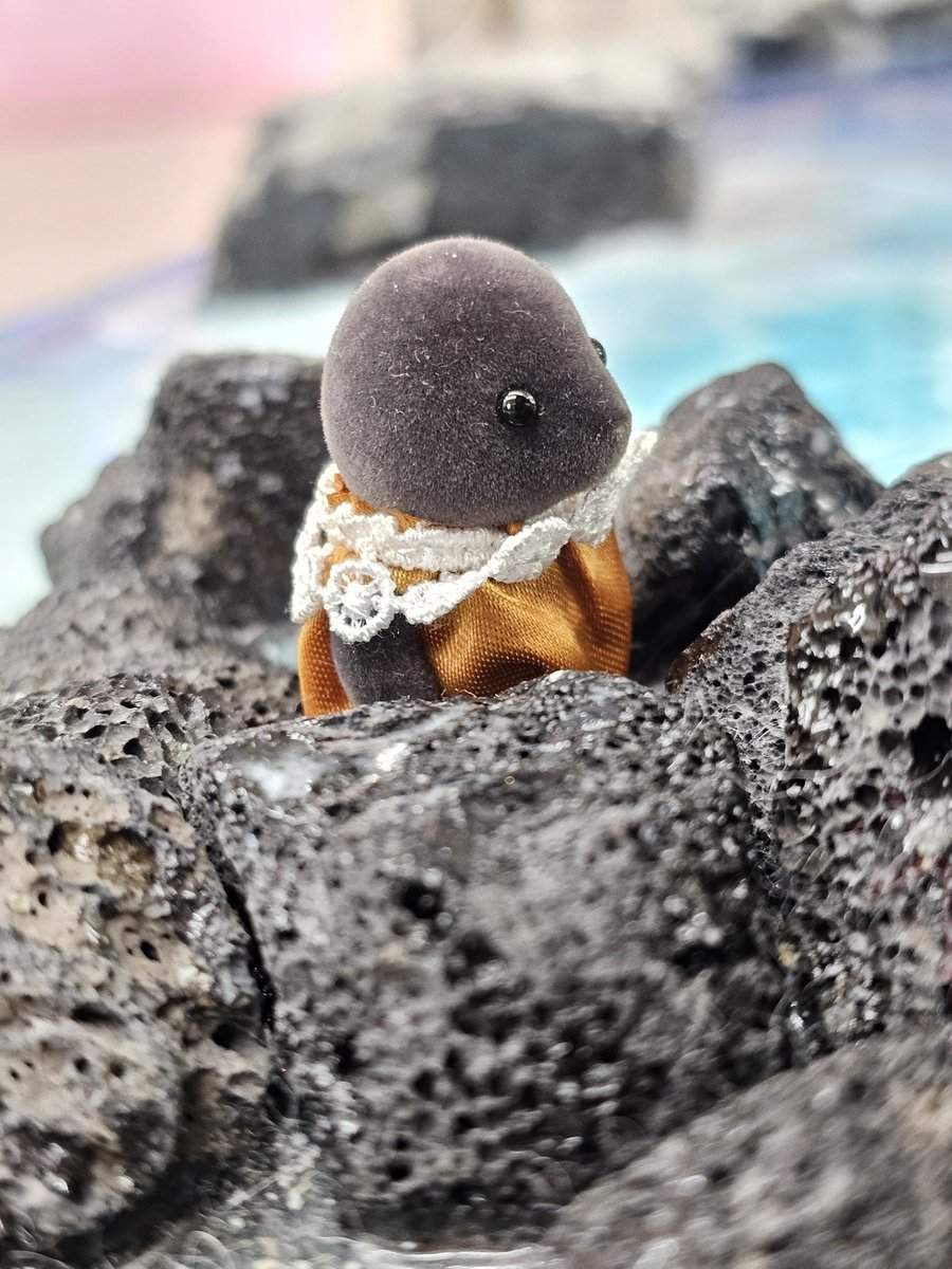 치즈케이크 tweet media