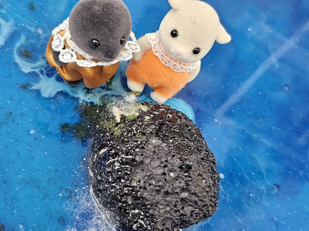 치즈케이크 tweet media