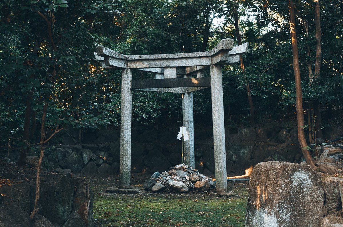 Hino | hi-photography tweet media