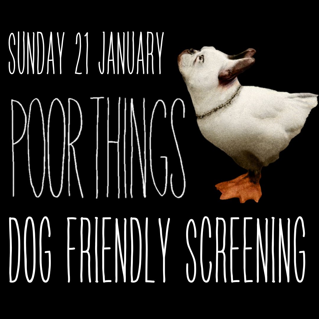 FulhamRoadPH's tweet photo. 🐶 Calling all our fur-tastic friends from Dr. Baxter's menagerie of Frankensteined creatures!  

🐾🎥 Join us for a dog-friendly screening of Yorgos Lanthimos' latest film, Poor Things, featuring the incredible tale of Bella Baxter. 🦆 🐩
 
🐕 #DogFriendlyScreening https://t.co/NMzMH9VkZ7