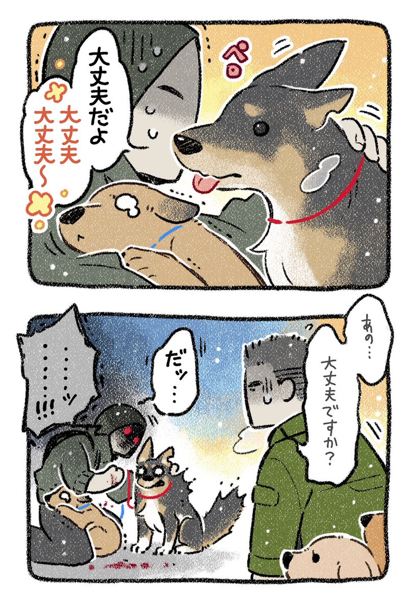保護犬茶々のお話【第24話】 このタイミングでそれを聞くのは流石にズルいと思うのだが?_:('ཀ`」 ∠): #漫画が読めるハッシュタグ