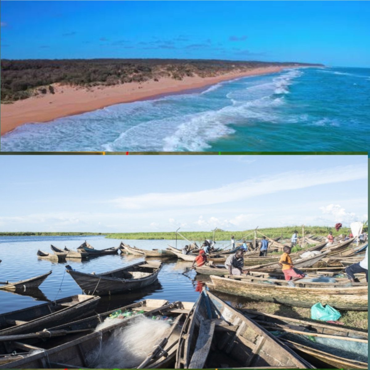 #EACOP is set to affect over 17 wetlands draining into L.Victoria, 8 wetlands draining into the Victoria Nie and four wetlands draining into the L.Albert . What will be the fate of the 40M people who derive their livelihoods 4rom these ecosystem in case of an oil spill?#stopEACOP