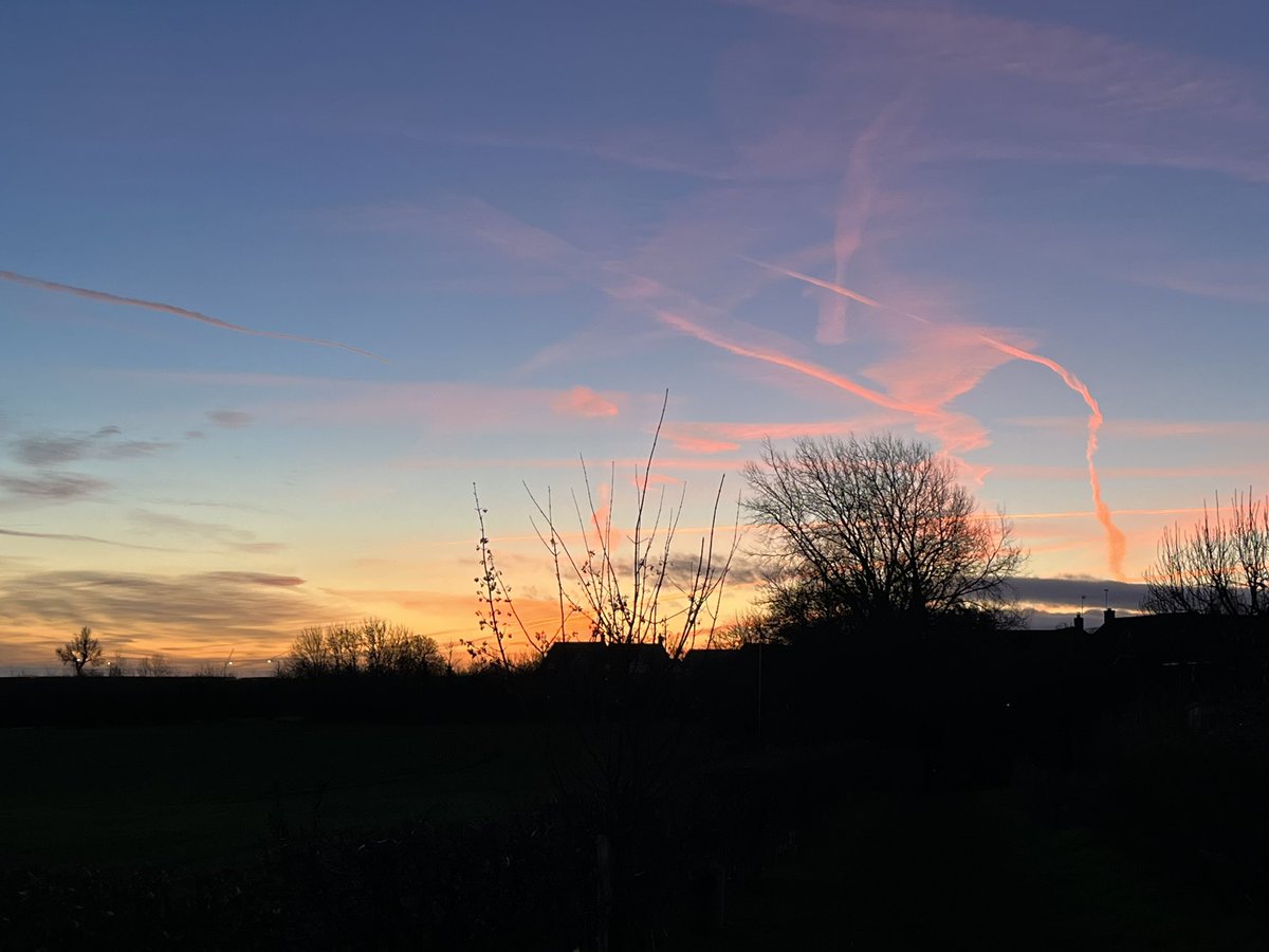 SmartiePerson's tweet photo. Beautiful morning https://t.co/QhFLUxS0Ol