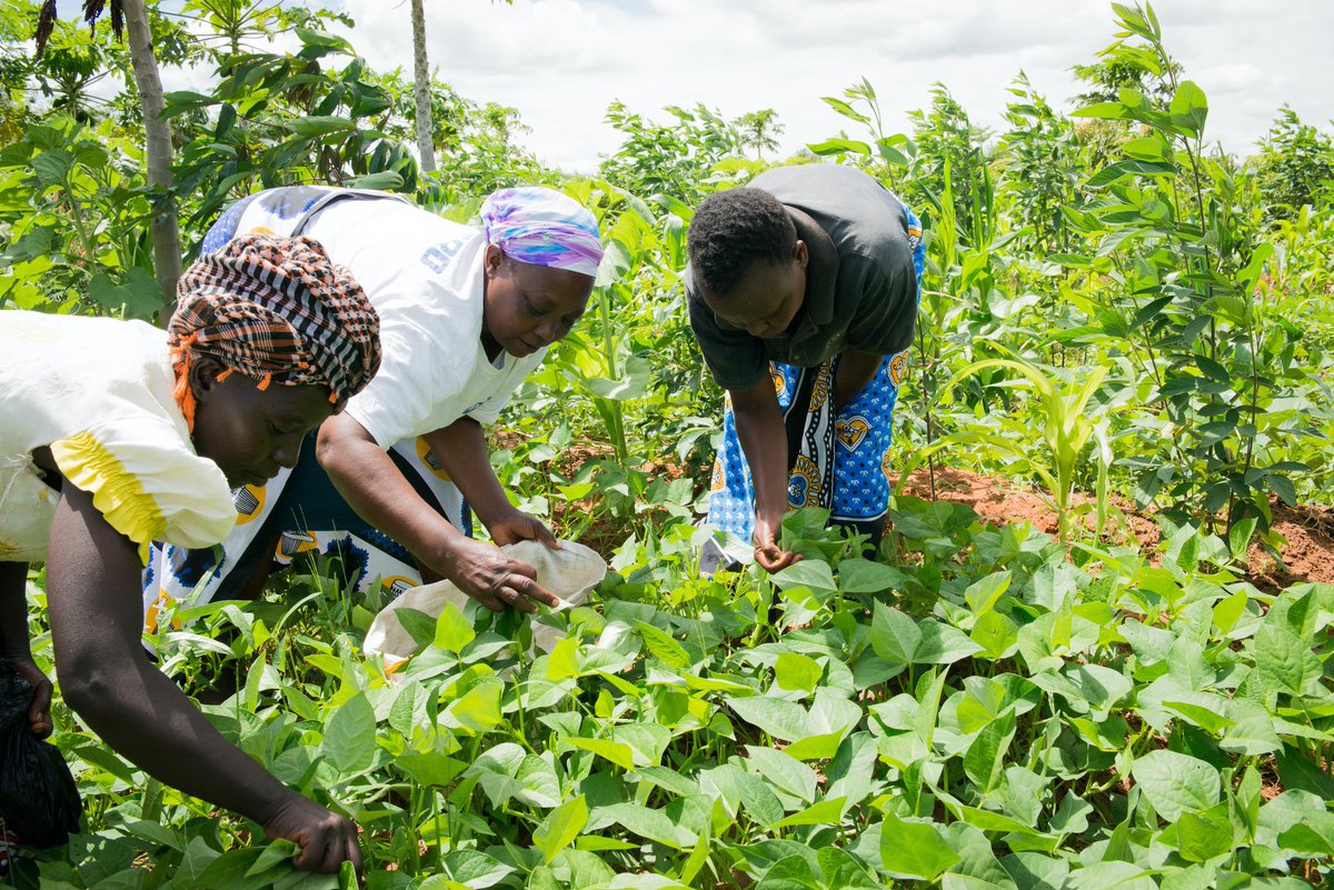 🌾 Embrace a healthier and sustainable lifestyle! It's time for consumers to choose agroecology foods 🥦. Not only do they nourish our bodies, but they also support local farmers and protect the environment. Let's make conscious choices for a greener future! 🌍 #Agroecology