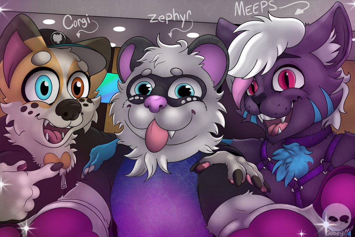 Finally got this done after Way too long @_@ i blame theholidays and covid :') but heres a con pic of @ZephyrFerret  @TheCorgiCam and @MeepsKitten from MFF!