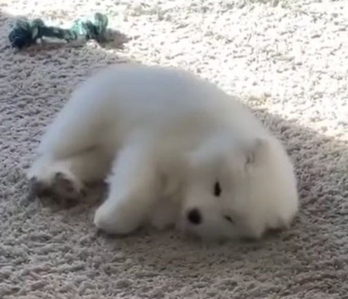 ไตรภาคี (@9twxtriphaki) on Twitter photo 