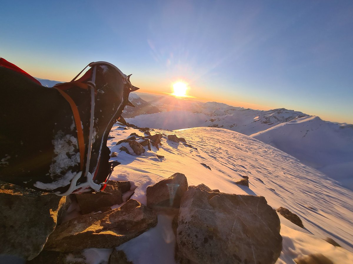 Grégory Allione tweet media