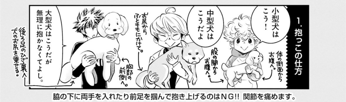 アニメ #ドッグシグナル 第12話をご覧いただきありがとうございました〜🐶

抱っこの仕方、原作ではこんな感じで描かれています✨
優子のエピソードは、原作コミックス3巻〜4巻に収録されています。
こちらもよろしくお願いします🙇 
